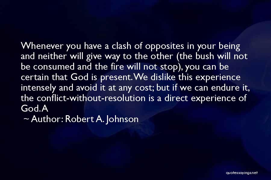 Robert A. Johnson Quotes 317908