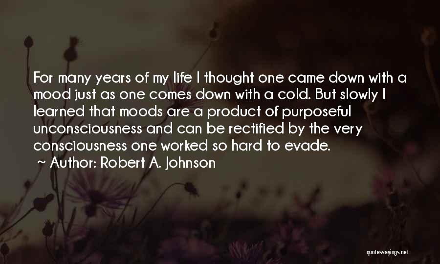 Robert A. Johnson Quotes 84602