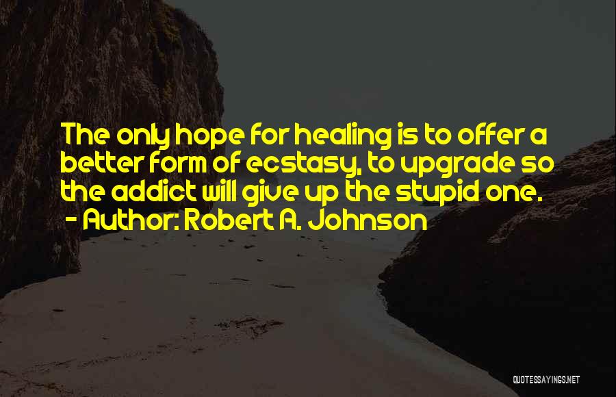 Robert A. Johnson Quotes 93909