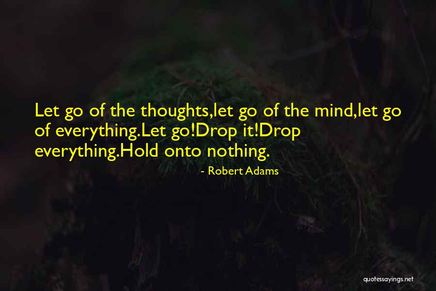 Robert Adams Quotes 1087470