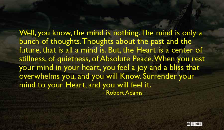 Robert Adams Quotes 1141132