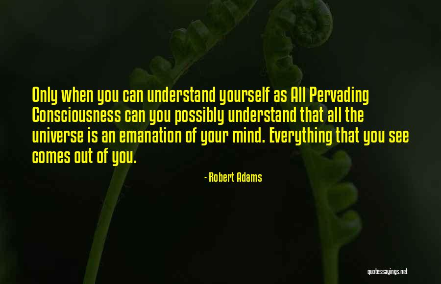 Robert Adams Quotes 1291356