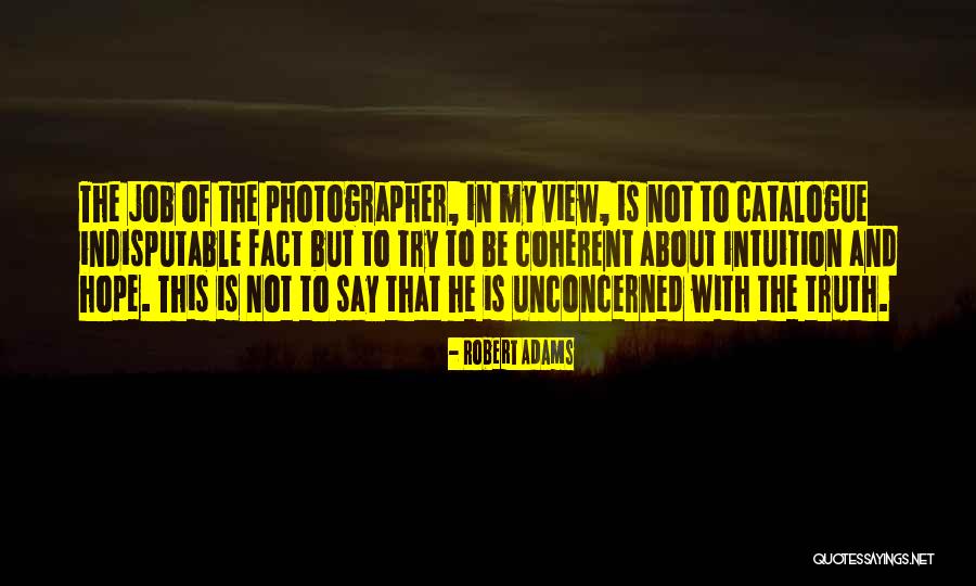 Robert Adams Quotes 1556618