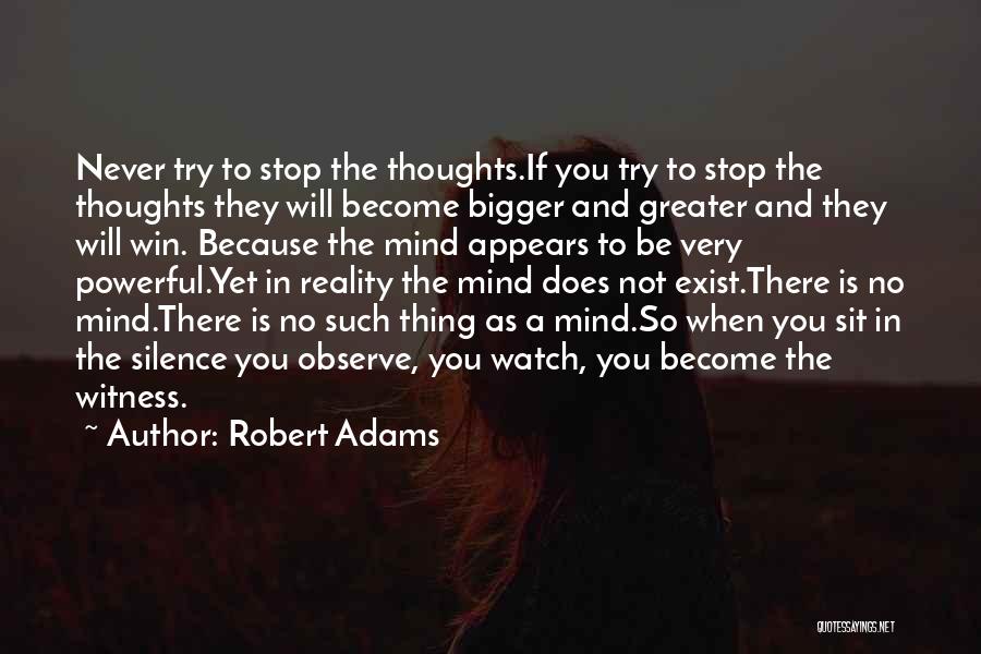 Robert Adams Quotes 1695469
