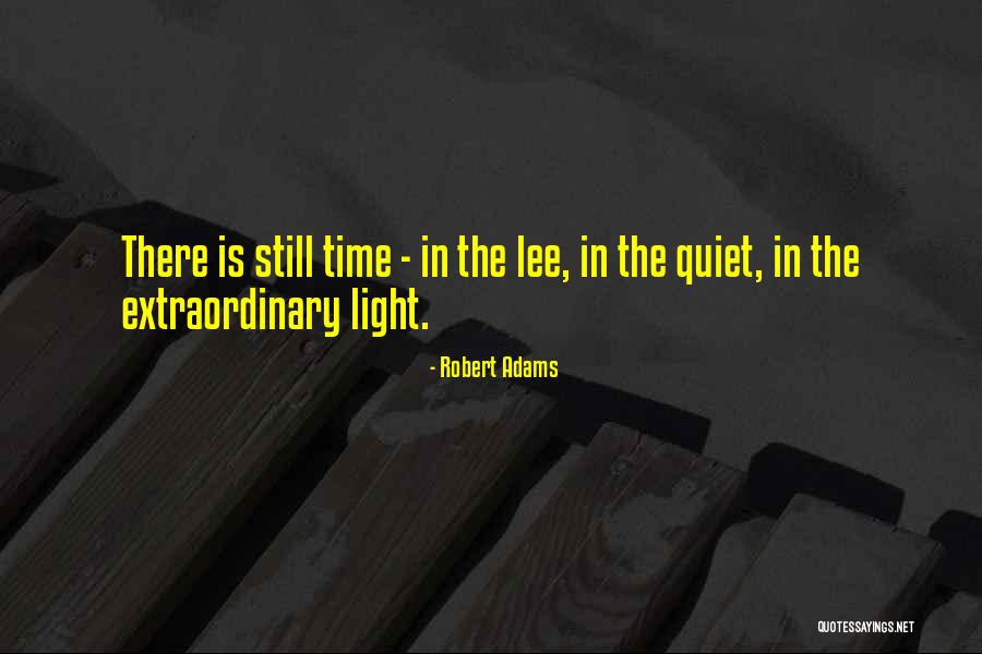 Robert Adams Quotes 1704056