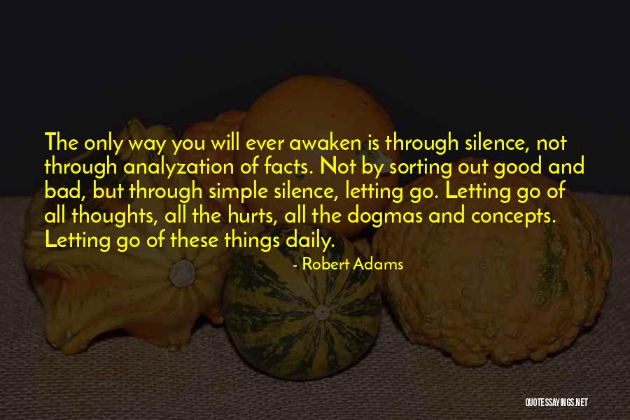 Robert Adams Quotes 1751088