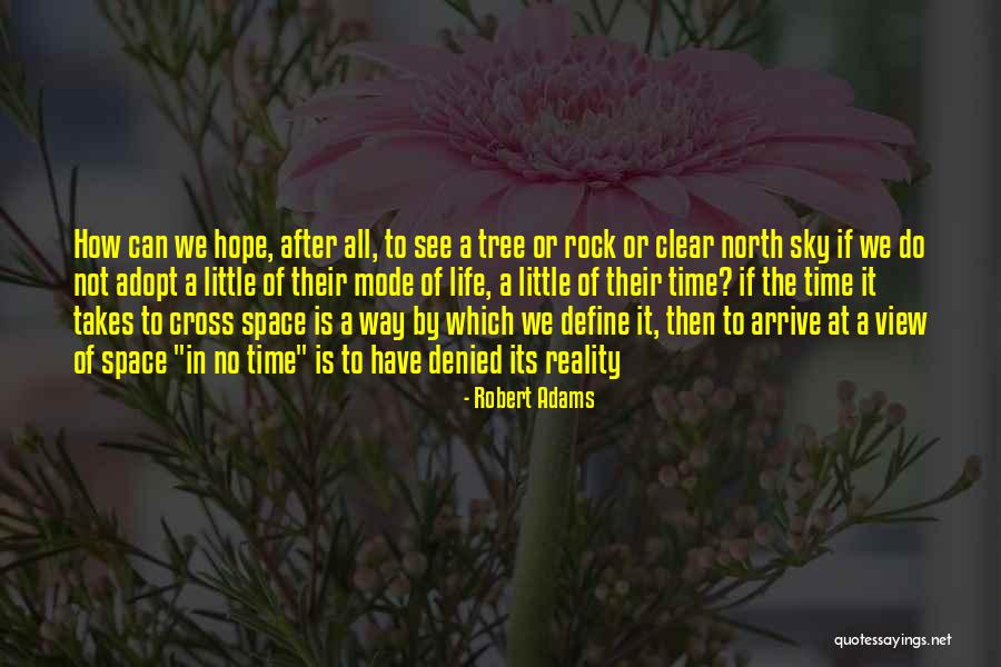 Robert Adams Quotes 2109832