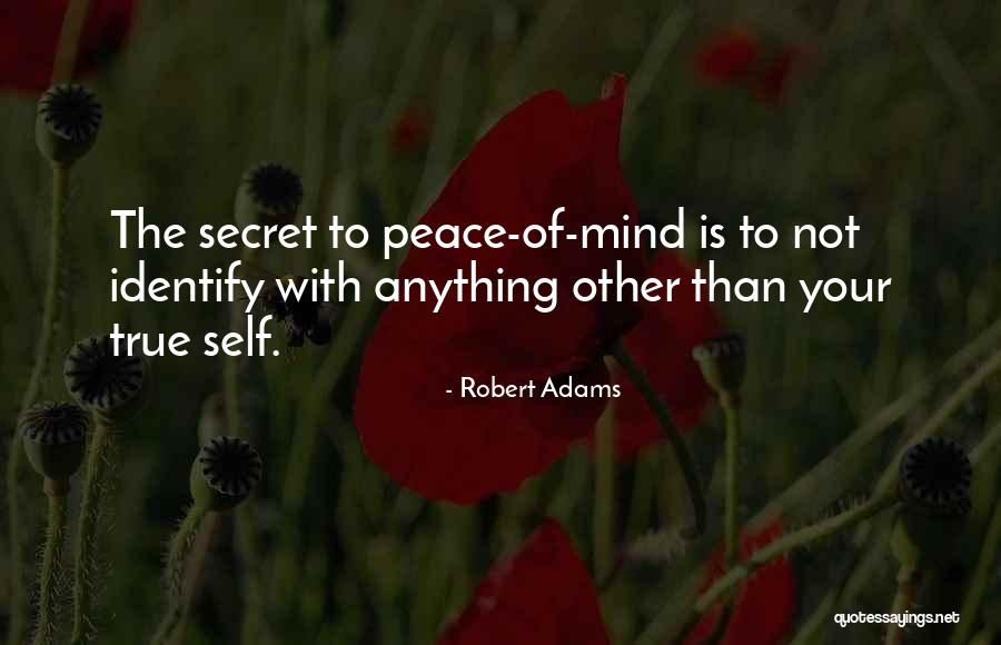 Robert Adams Quotes 593665