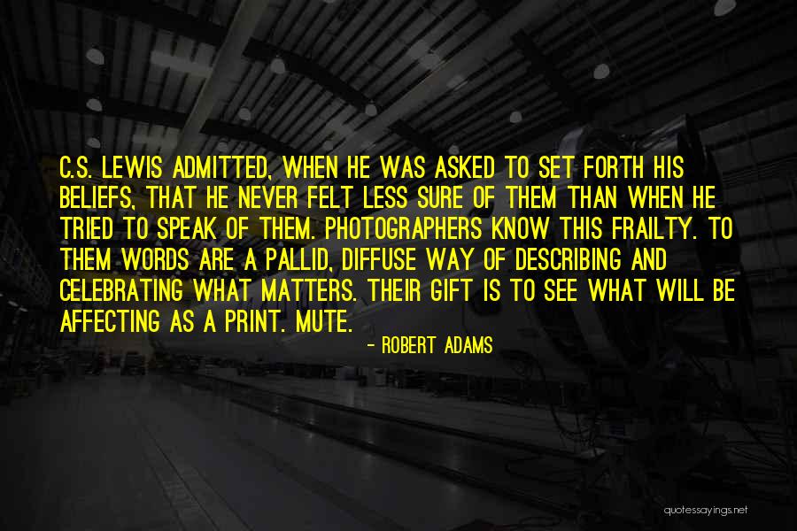 Robert Adams Quotes 640318