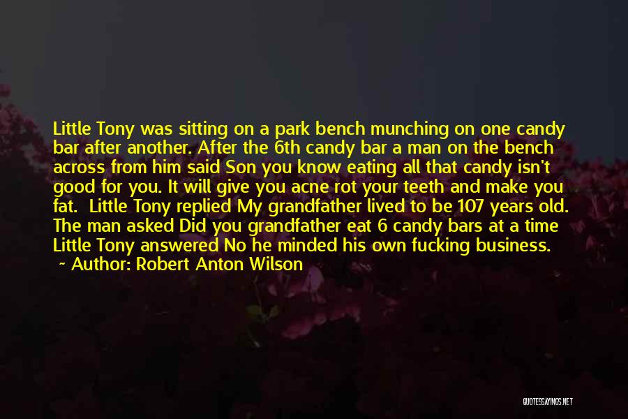 Robert Anton Wilson Quotes 1240891
