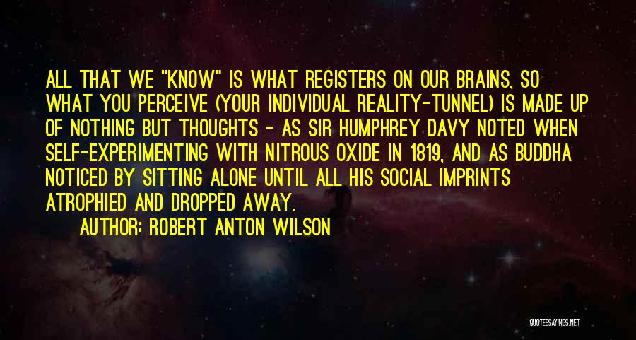 Robert Anton Wilson Quotes 1854813