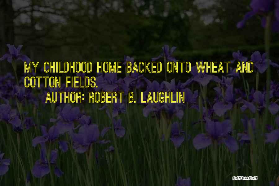 Robert B. Laughlin Quotes 1244377