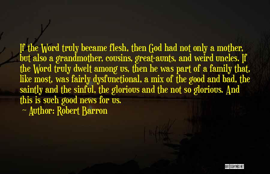 Robert Barron Quotes 1861732