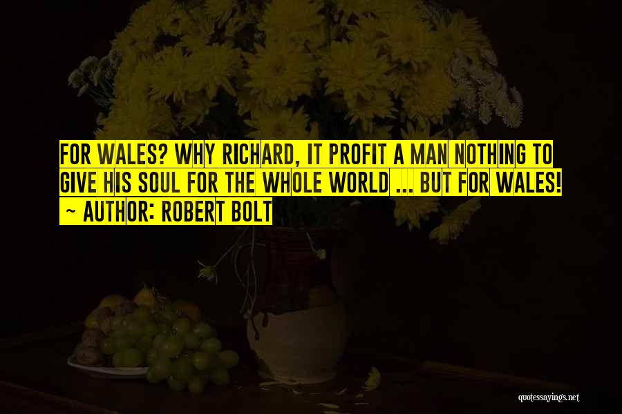 Robert Bolt Quotes 1994271