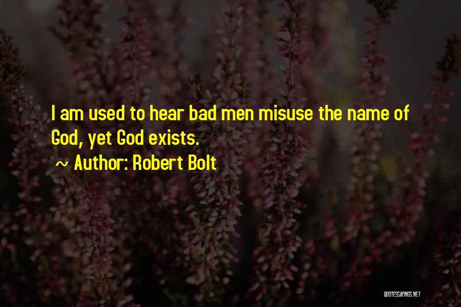 Robert Bolt Quotes 2085873