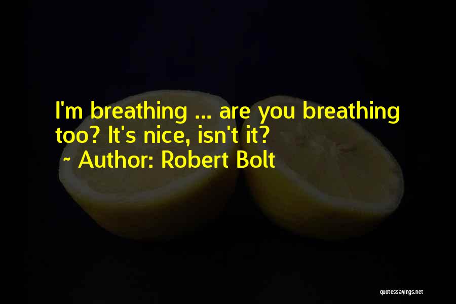 Robert Bolt Quotes 344235