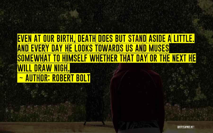 Robert Bolt Quotes 445631