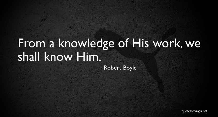 Robert Boyle Quotes 495296