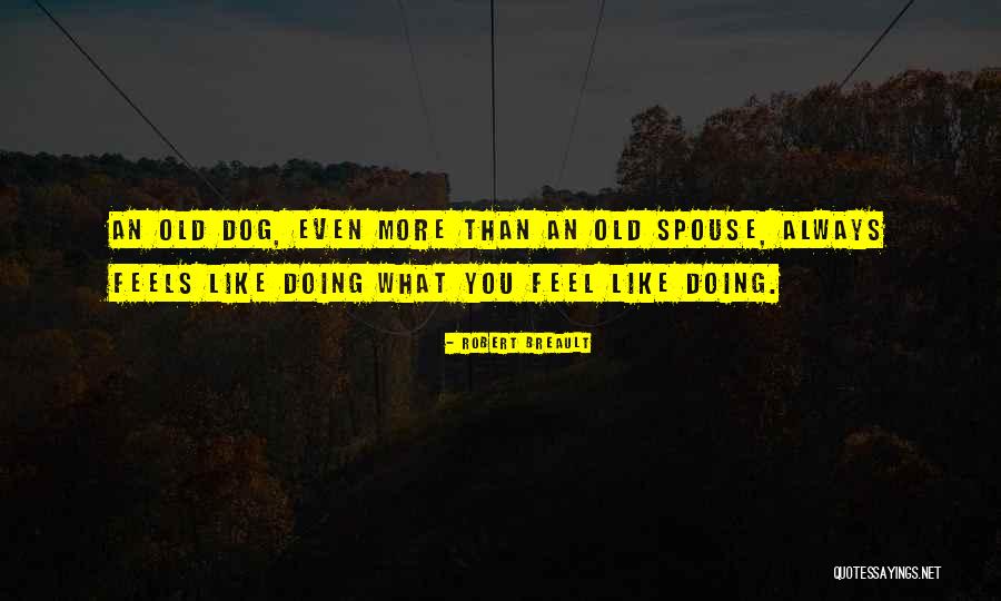 Robert Breault Quotes 547078 Robert Breault Quotes 547078