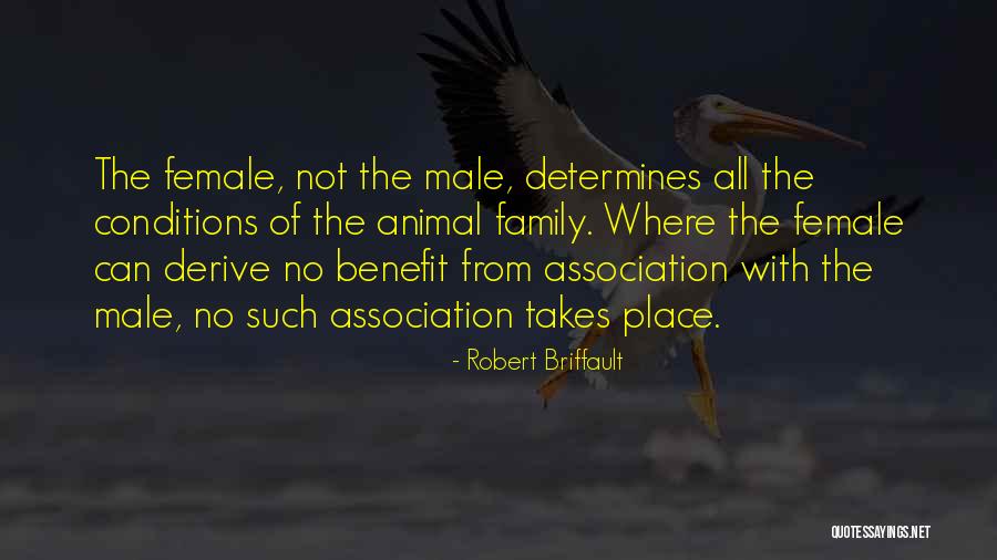 Robert Briffault Quotes 2164943