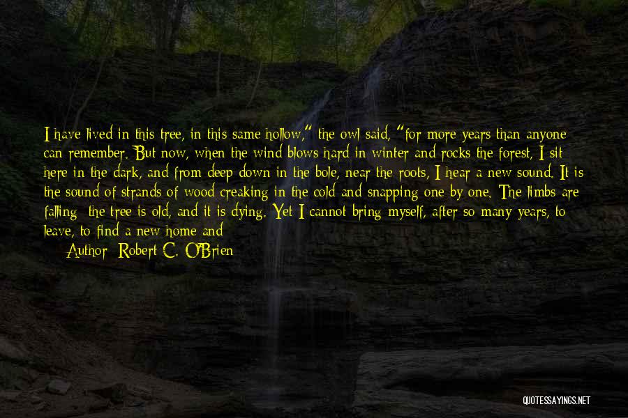 Robert C. O'Brien Quotes 1628118