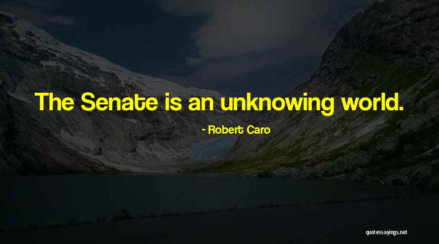 Robert Caro Quotes 1356246