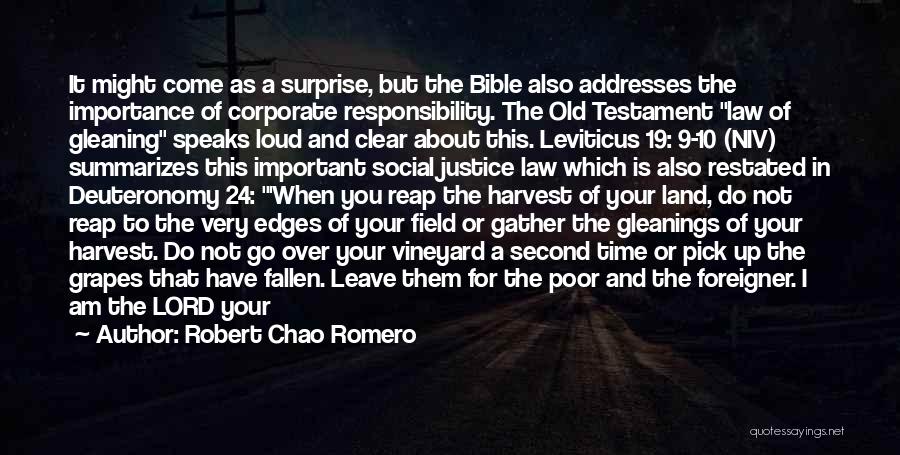 Robert Chao Romero Quotes 1169280