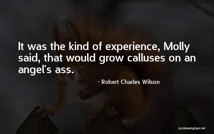 Robert Charles Wilson Quotes 283578