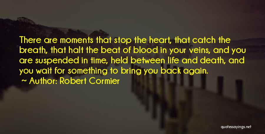 Robert Cormier Quotes 2124926