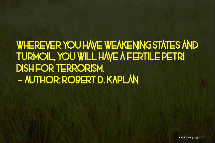 Robert D. Kaplan Quotes 1904009