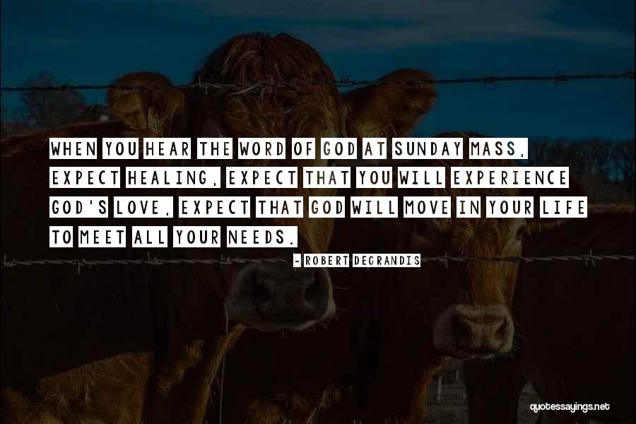 Robert Degrandis Quotes 288882 Robert Degrandis Quotes 288882