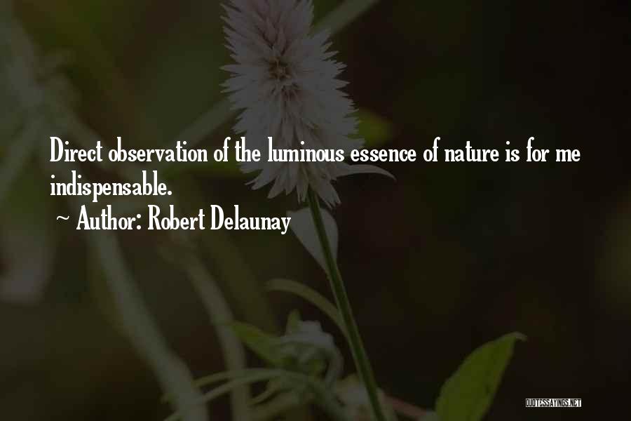 Robert Delaunay Quotes 1284744