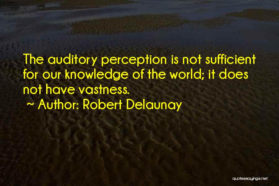 Robert Delaunay Quotes 688063