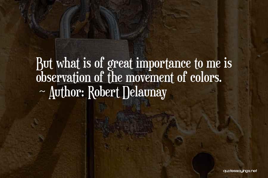 Robert Delaunay Quotes 695342