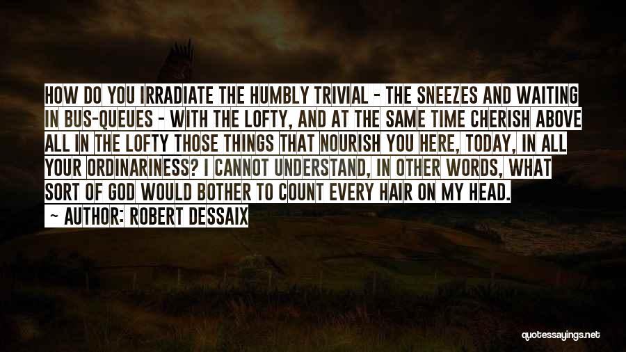 Robert Dessaix Quotes 189059