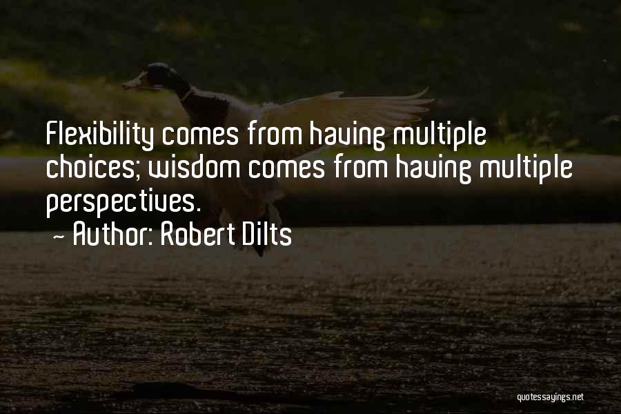 Robert Dilts Quotes 1015925