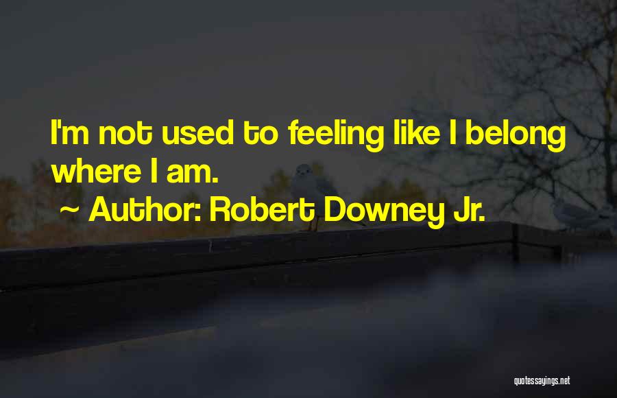 Robert Downey Jr. Quotes 1112531