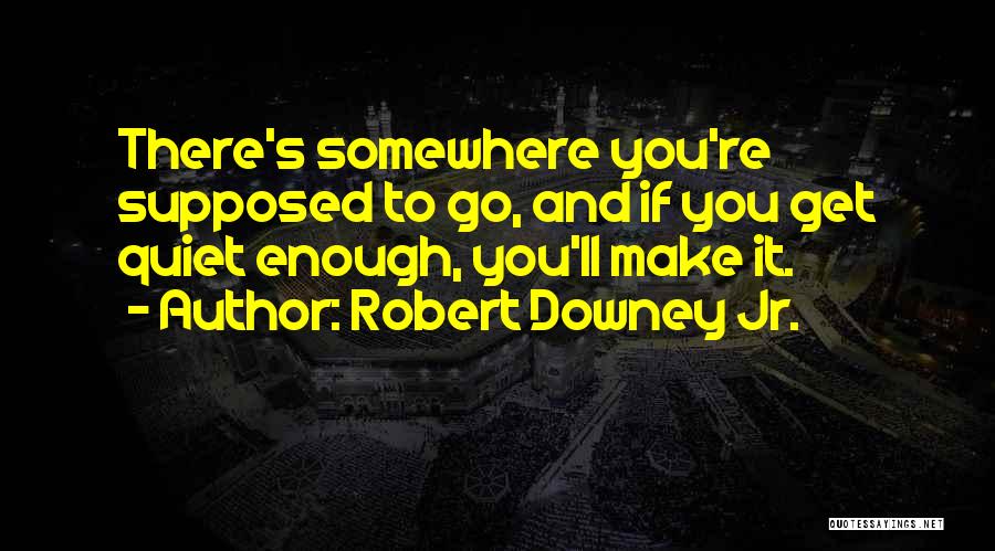 Robert Downey Jr. Quotes 1294537