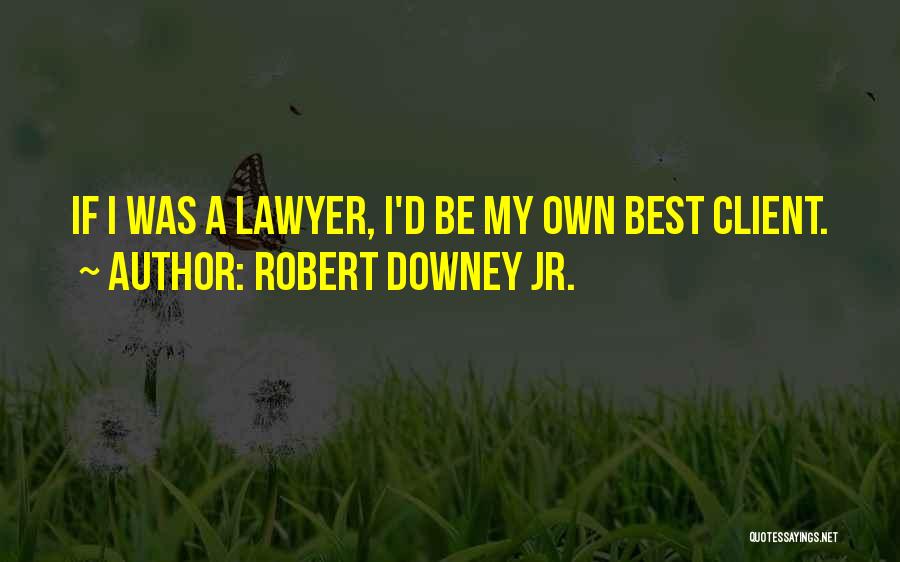 Robert Downey Jr. Quotes 1344373