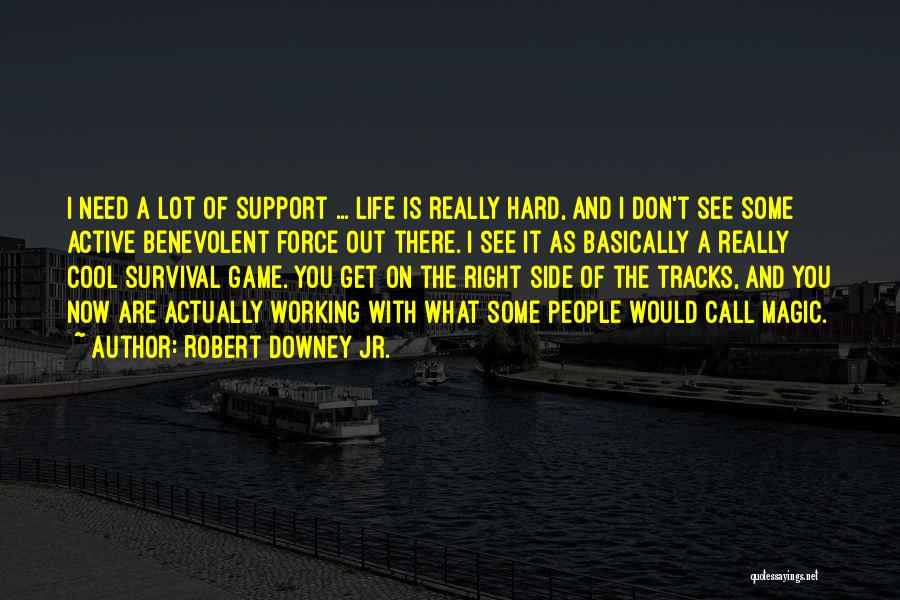 Robert Downey Jr. Quotes 294123