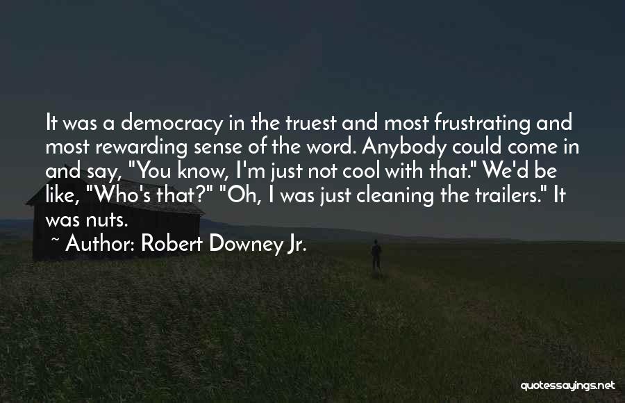 Robert Downey Jr. Quotes 523684
