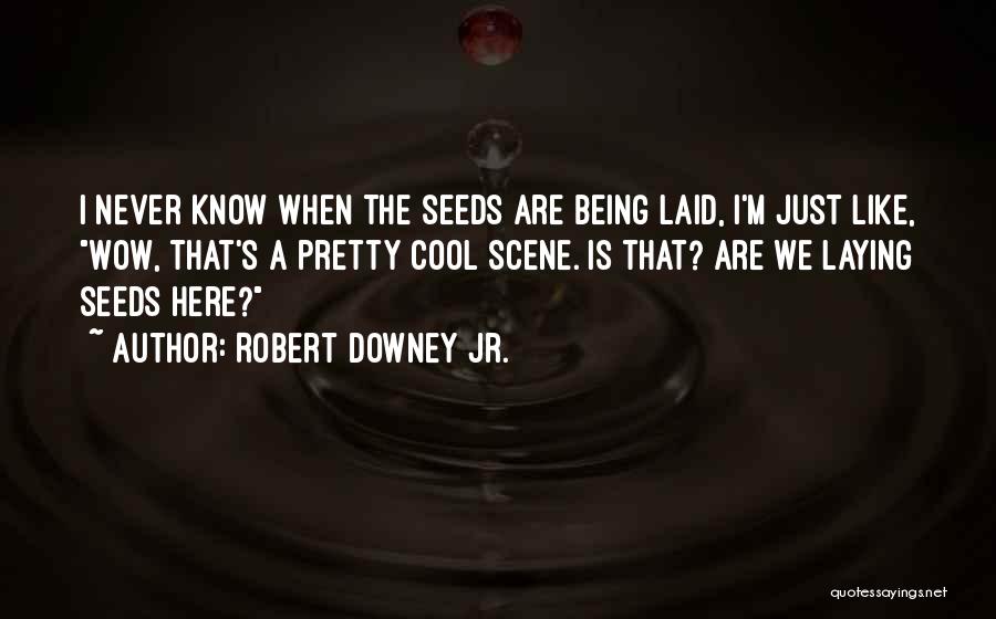 Robert Downey Jr. Quotes 789860