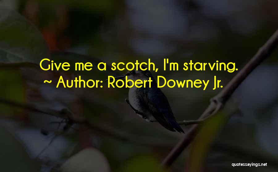 Robert Downey Jr. Quotes 864045