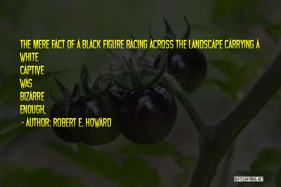 Robert E. Howard Quotes 1204167