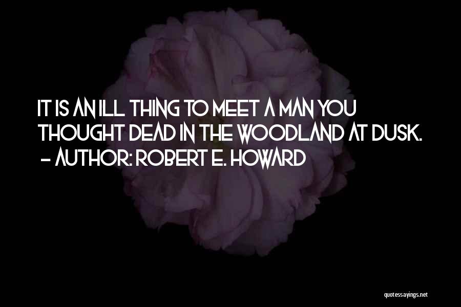 Robert E. Howard Quotes 2253234
