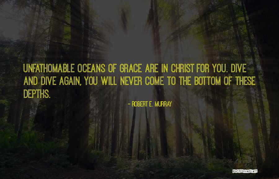 Robert E. Murray Quotes 1913101 Robert E. Murray Quotes 1913101