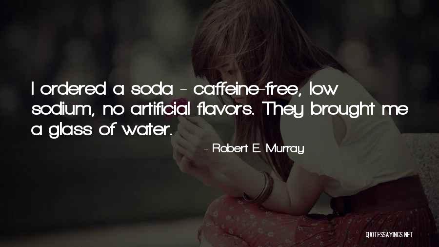 Robert E. Murray Quotes 2091152 Robert E. Murray Quotes 2091152