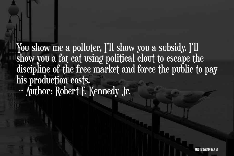 Robert F. Kennedy Jr. Quotes 1041665