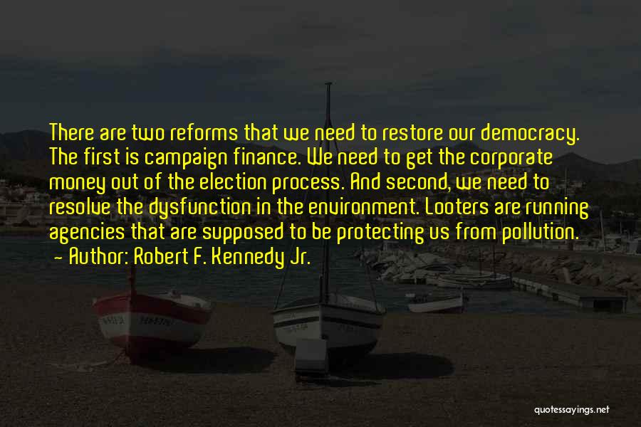 Robert F. Kennedy Jr. Quotes 1564732