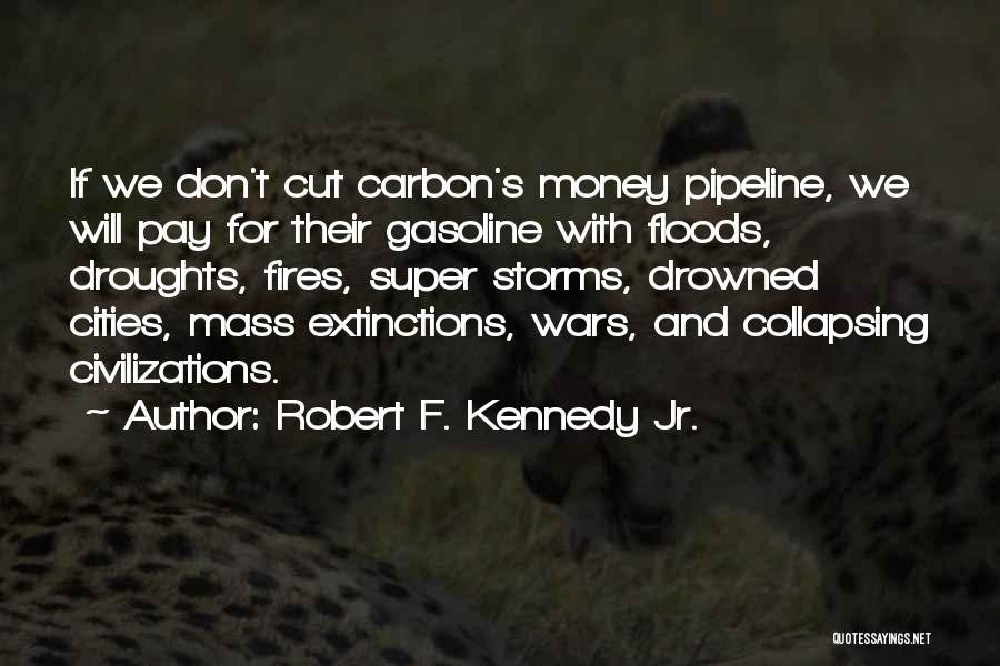 Robert F. Kennedy Jr. Quotes 800761